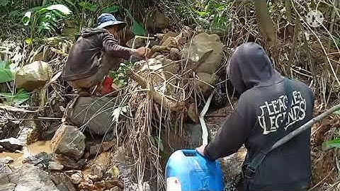 THANH NIÊN II XỊT PHÂN THUỐC CỎ MÌ : PHẦN IIII