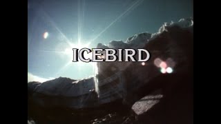 Icebird (1989)