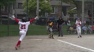 BASEBALL Hits, Steals & Runs Royal York Cardinals #baseball #fun #sports #viral #video #hits #bats