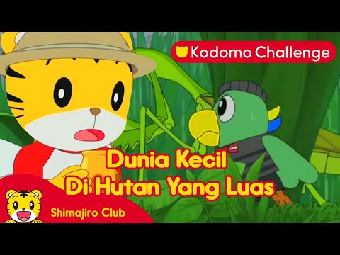 Shimajiro | Pendidikan Anak | Dunia Kecil di Hutan yang Luas Ep. 78.1 - Kodomo Challenge