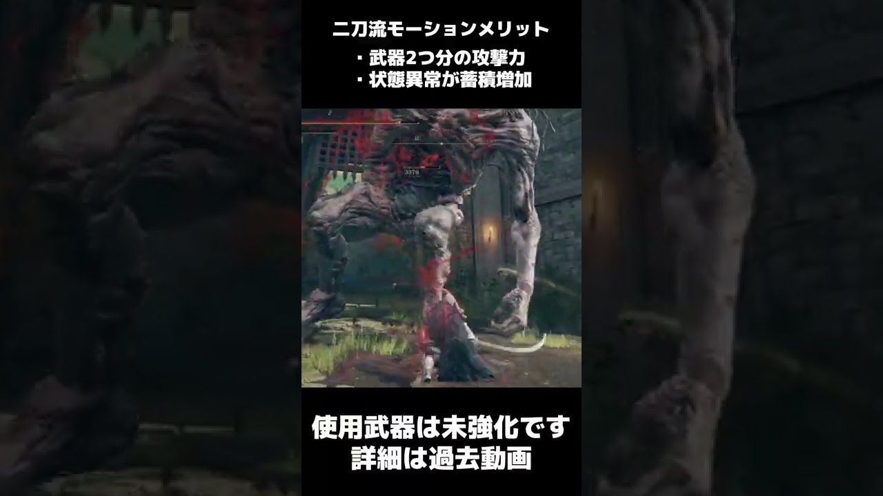 攻略】曲剣二刀流の火力が高い理由(出血あり)【ELDEN RING