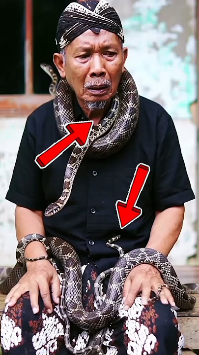 😱🚫“Puluhan Ular Weling Mengerumuni Kakek di Bangku Kayu, Bikin Merinding