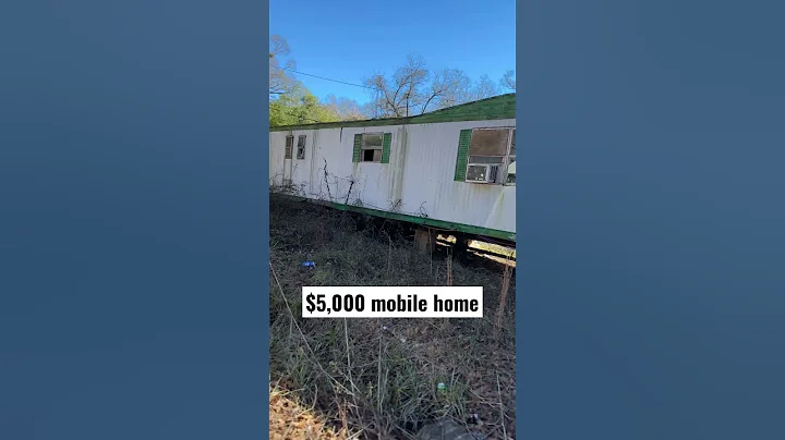 Another $5,000 mobile home !