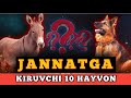 JANNATGA HAYVONLAR HAM KIRADIMI?