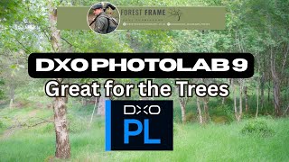 DXO Photolab is great for the Trees!