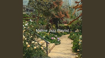 Astonishing Backdrops for Staying Productive