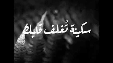قالو يانوح قد جدلتنا فأكثرت جدالنا/ القارئ اسلام صبحي/ اجمل حالات وتساب ومقاطع دينيه قصيره/