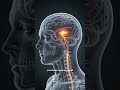 Your Hearing Can’t Heal — Here’s Why
