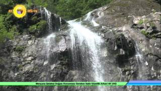 Mençuna Şelalesi Doğası Korunması Gereken Saklı Güzellik Arhavi 4K Uhd