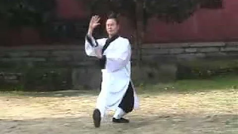 Wudang Tai Yi Xiao Yao Zhang demonstrated by Maste...