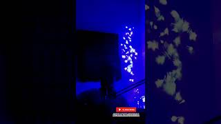 آهنگ ترکمنی Gunum Ayym Turkmen Song