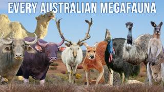 Every Australian Megafauna Found in the Wild Today (26 Species)