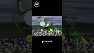 1M Cotton Harvester.