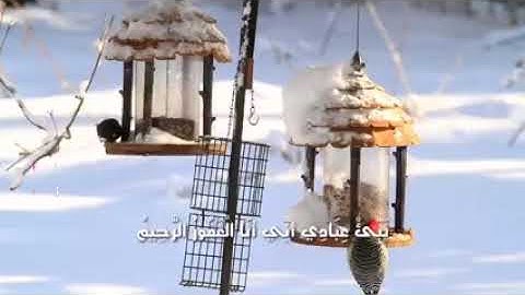 نبئ عبادي اني انا الغفور الرحيم من سورة الحجر اسلام صبحي