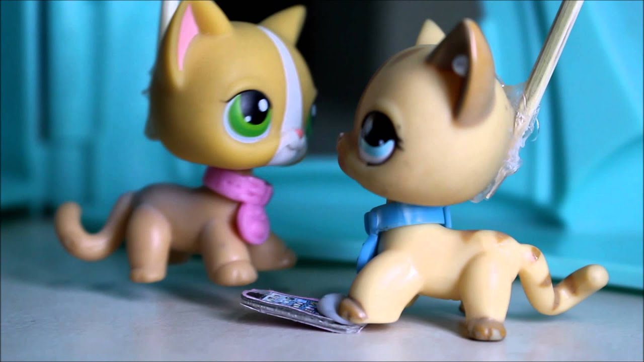 LPS MV: Sad Song and This Song Is About You