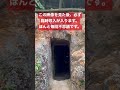 速報⚠️この動画に出会ったらなぜか大きな臨時収入が入ります。#shorts