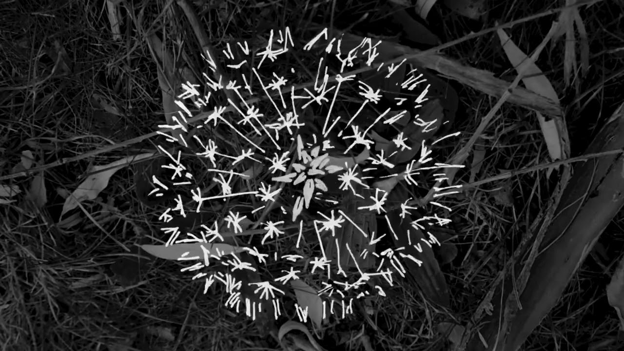 Lily Talmers- Circular Feeling (Official Audio)