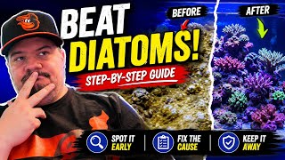 How to tackle Diatoms in Your Reef Tank