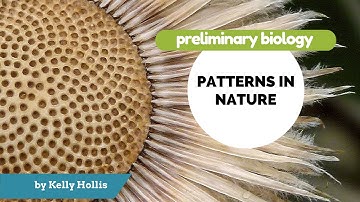Patterns in Nature - 8.3.3.a) - Photosynthesis Investigation