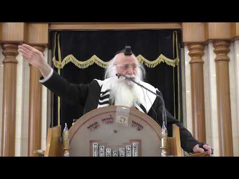 הם רוצים לגייס כי לא מבינים את ערך התורה: השיחה השבועית מהגאון רבי יהודה עמית - פרשת פנחס תשפ''ה