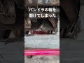 【レストア】パンドラの箱を開けてしまった#automobile #restoration #レストア #旧車 #ポルシェ