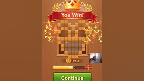 Wooden Block Jigsaw Puzzle Level 291 - 300 Walkthrough