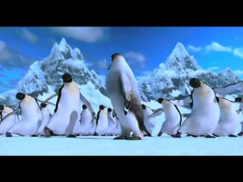 Video TodayTV | Chú chim cánh cụt vui vẻ - 14h, Mùng 2 Tết... - youtube