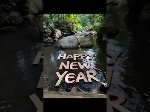 Happy New year |