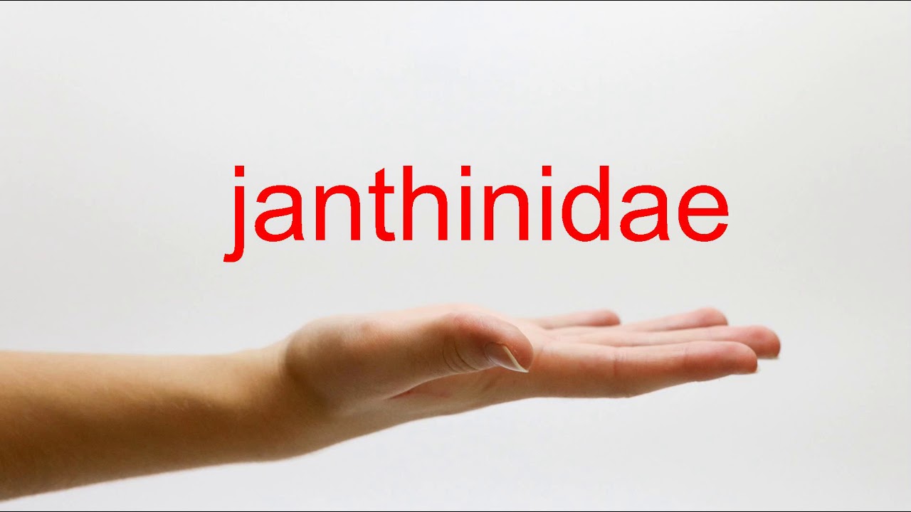 How to Pronounce janthinidae - American English