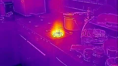 Thermal image from iPhone using FLIR One