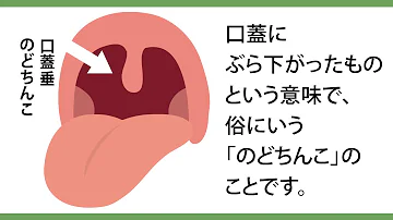 تحميل のどちんこ تحميل のどちんこ