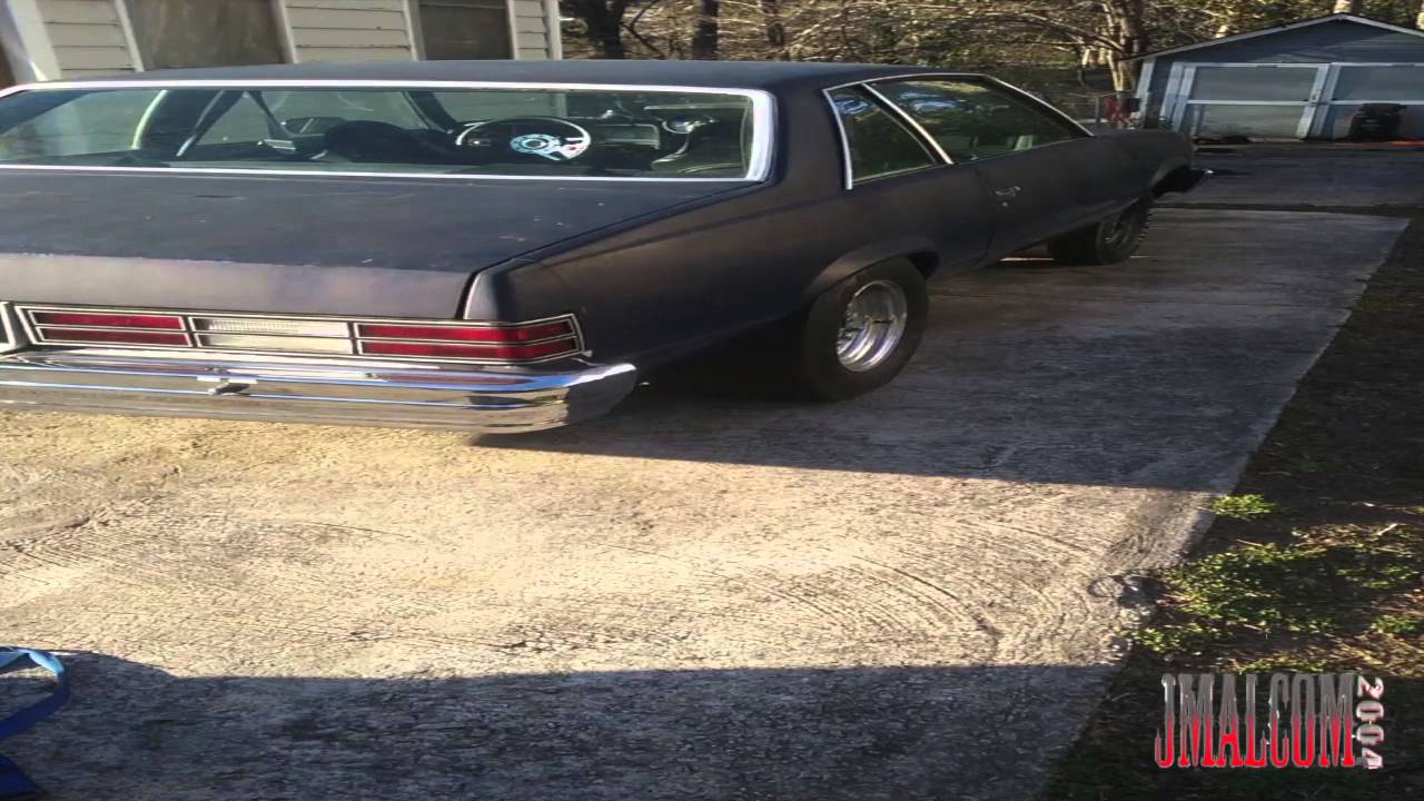 EXCLUSIVE Interview with Swine Flu