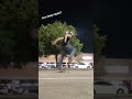 1 Year Ollie progress