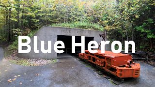 Blue Heron Trail, Daniel Boone National Forest, Kentucky