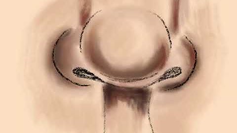 Procreate - How to Paint Nose