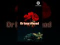 Dr Israr Ahmad beautiful line #islamicvideo #islamicscripture #shorts