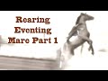 Fixing A Rearing Eventing Mare Part 1