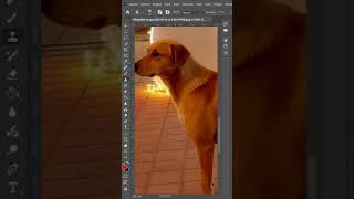 editando fotos de seguidores con Photoshop #shortvideo #photoshop #toxicos #fotografia #fotostumblr