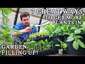 7 Amazingly Simple Ways to Grow EXTRA Crops