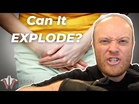 Video: Hvilken sphincter of boyden?