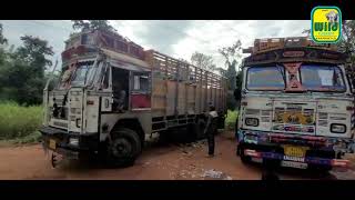 Four Elephants shifted from Karnataka to Uttar Pradesh (02-11-2022) Video report