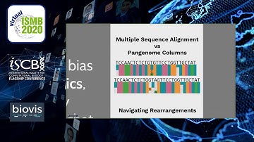 Pantograph - Scalable Interactive Graph Genome... - Andrea Guarracino - BioVis - ISMB 2020 Posters