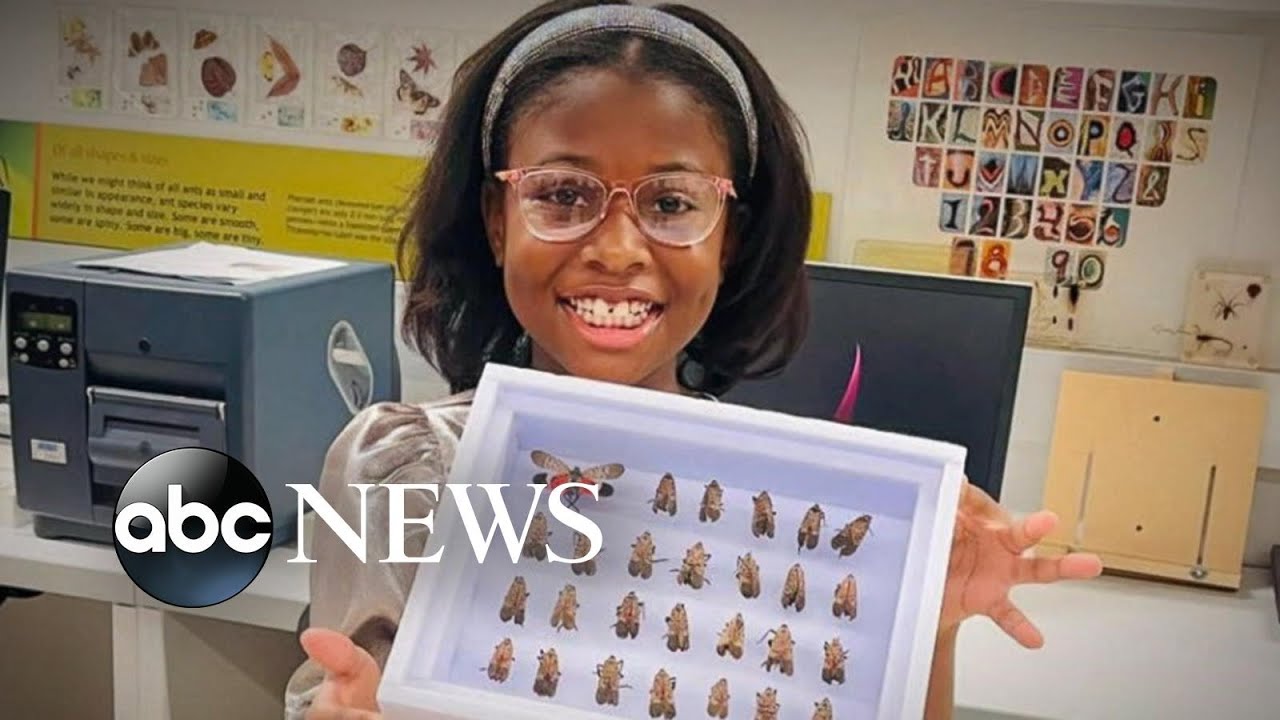 ⁣Yale University honors 9-year-old girl reported to police over lanternfly project | WNT