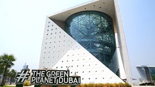 The Green Planet Dubai 2023 | ذا جرين بلانيت عالم الغابات الاستوائيه في دبي
