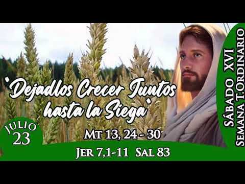 Evangelio de hoy 23 de julio, TIEMPO ORDINARIO /P. Guillermo Serra L.C.
