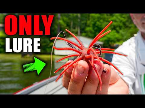The ONLY Lure you Need to Catch Bass in August