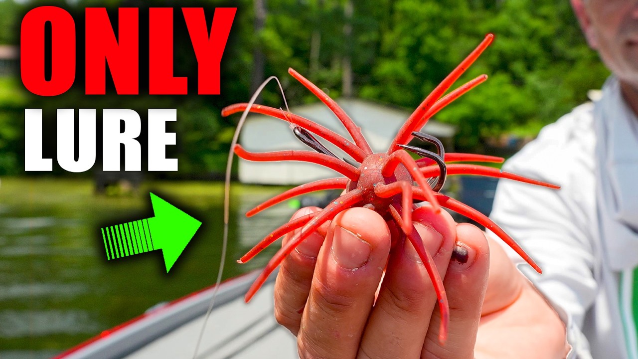 The ONLY Lure you Need to Catch Bass in August