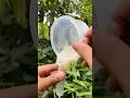 рџџўвњ Survival Skills SIMPLE But Very USEFUL Outdoors Camping Bushcraft Skills Short рџџўвњ Survival Skills SIMPLE But Very USEFUL Outdoors Camping Bushcraft Skills Short