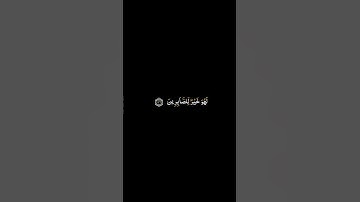 كرومات القرآن الكريم | ياسر الدوسري - سورة النحل ١٢٥ - ١٢٨ | #ملون