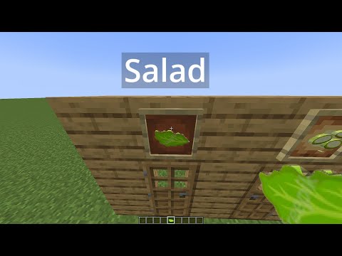 salad - salad